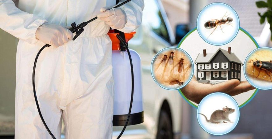 Silopi Böcek İlaçlama