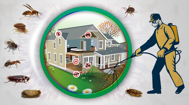 Silopi Böcek İlaçlama