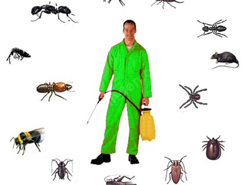 Silopi Böcek İlaçlama